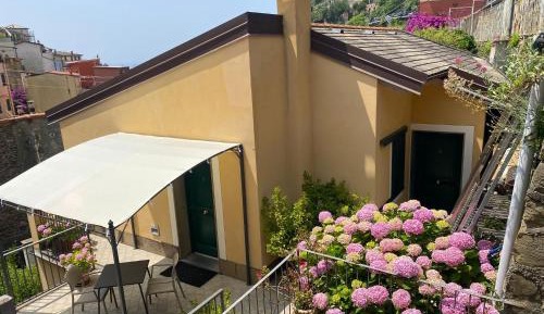 Double Room with Patio