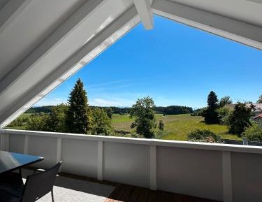 Superior One-Bedroom Apartment with Balcony