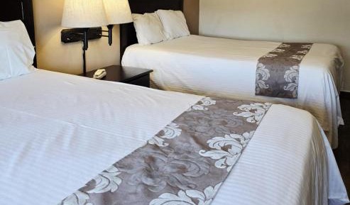 Double Room with Two Double Beds