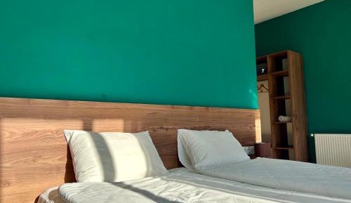 Double or Twin Room with Mountain View