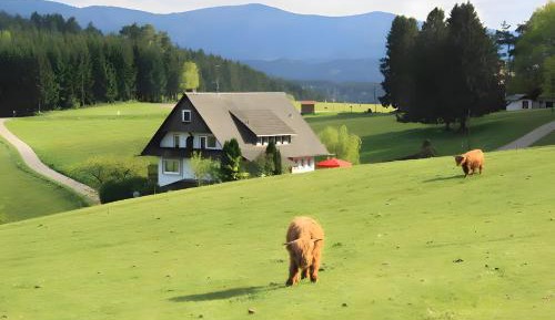 Holiday Home