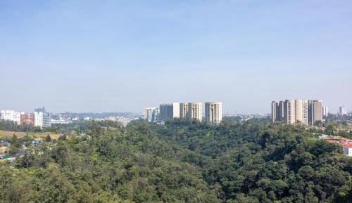 Premium Suite, Club lounge access, 1 Bedroom Suite, 1 King