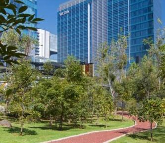 Club lounge access, Guest room, 1 King, High floor