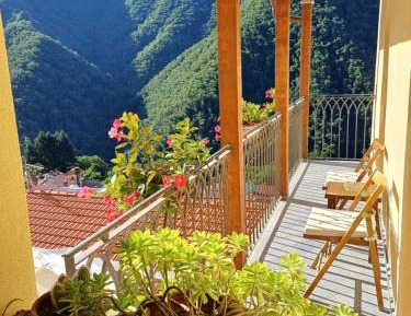 Double Room with Mountain View