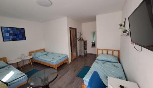 Superior Double or Twin Room with Terrace
