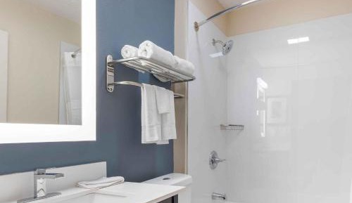 Deluxe Studio with 1 Queen Bed - Non-Smoking