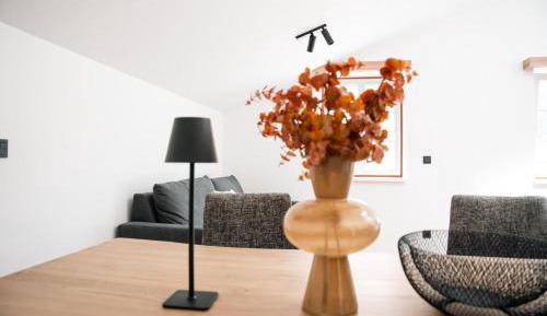 Apartment with Shower