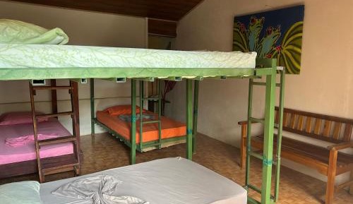 Bunk Bed in Mixed Dormitory Room