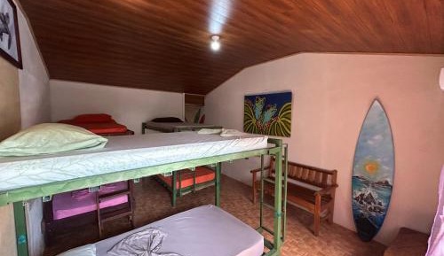 Bunk Bed in Mixed Dormitory Room