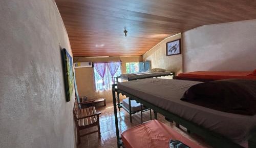 Bunk Bed in Mixed Dormitory Room