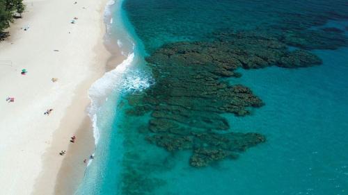 Superior One-Bedroom Apartment