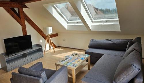 Superior One-Bedroom Apartment