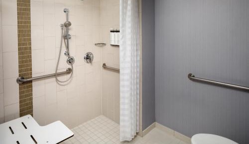 King Room with Sofa Bed and Roll-In Shower - Disability Access