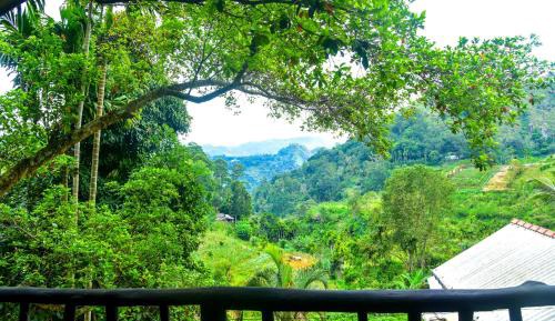 Triple Room with Mountain View
