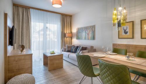 One-Bedroom Apartment with Mountain View