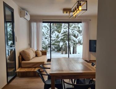 Two-Bedroom Apartment with Mountain View