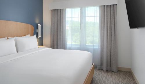 One-Bedroom King Suite with Sofa Bed 