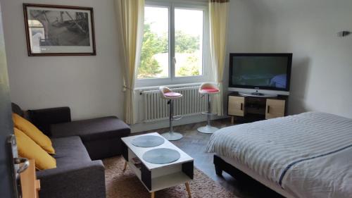 King Studio with Sofa Bed