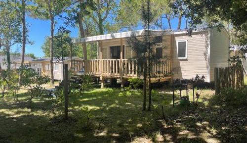 Mobile Home