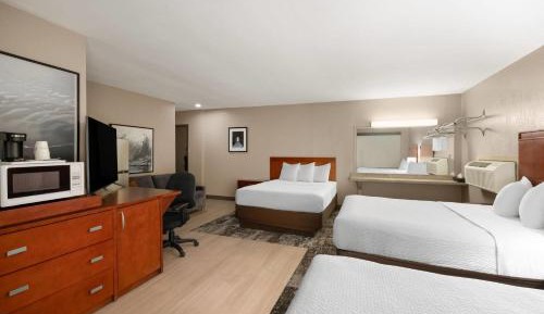 Studio Suite with Three Queen Beds - Non-Smoking