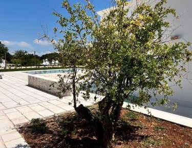 Double Room with Pool View