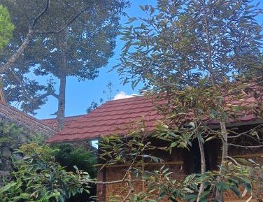 Double Room with Patio