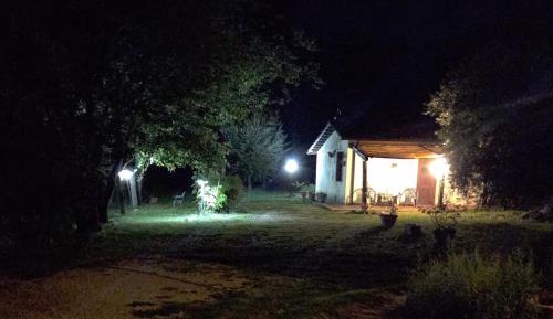 Studio with Garden View