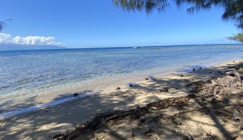 Bungalow - Beach Front