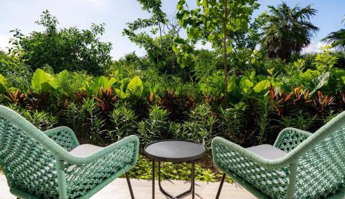 King Room with Nature View