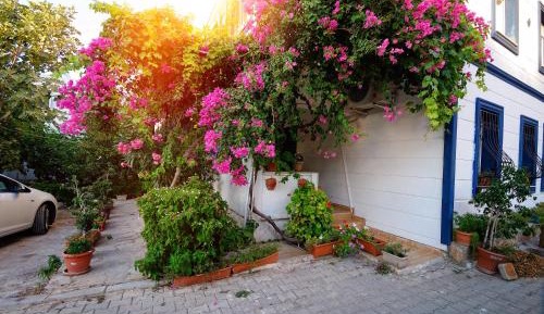 Apartment with Garden View