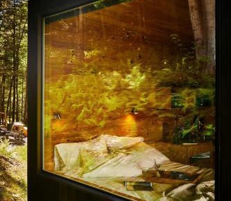 Queen Cabin with a View