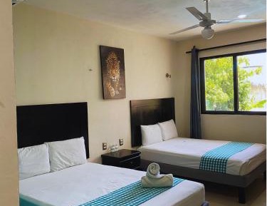 Double Room with Two Double Beds