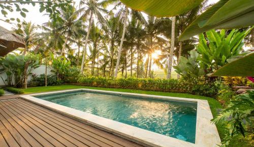 One-Bedroom Villa