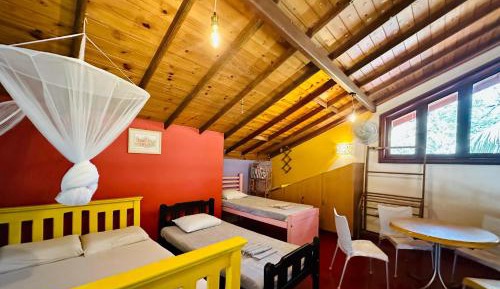 Single Bed in 6-Bed Dormitory Room