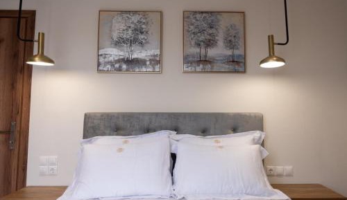 Duplex Suite