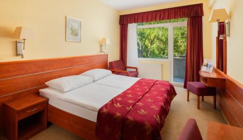 Superior Double or Twin Room with Balcony