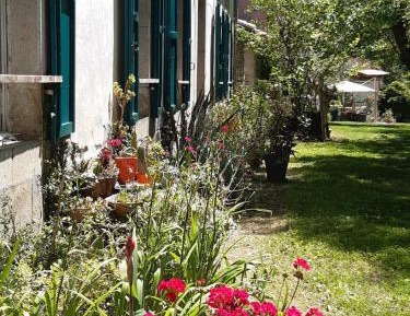 Superior Double or Twin Room with Garden View