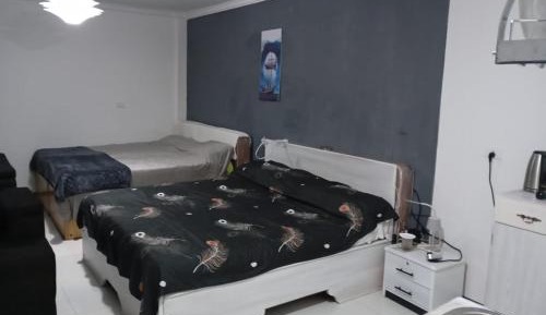 Family Studio