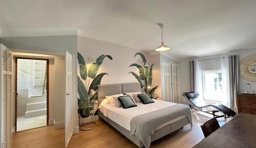 Deluxe King Room