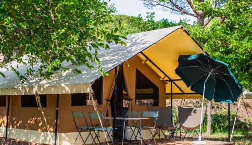 Tent