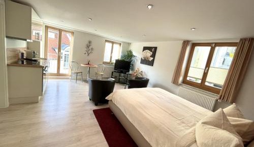 Superior One-Bedroom Apartment