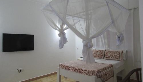 Standard Studio