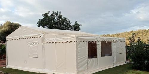 Bed in mixed dormitory (tent)