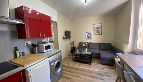 Studio with Sofa Bed