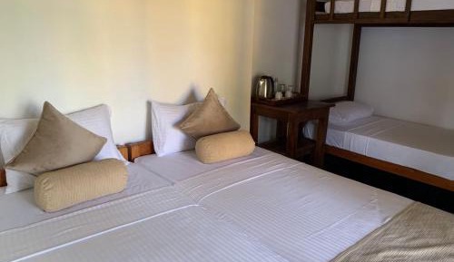 4-Bed Mixed Dormitory Room