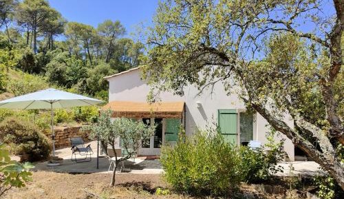 Family Room with Garden View