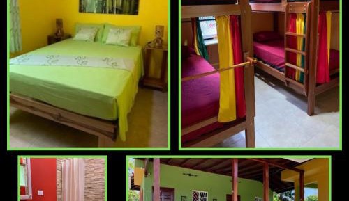 Bed in 4-Bed Dormitory Room