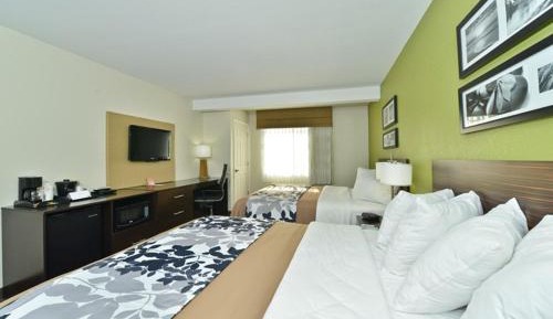 Queen Room with Two Queen Beds - Non-Smoking