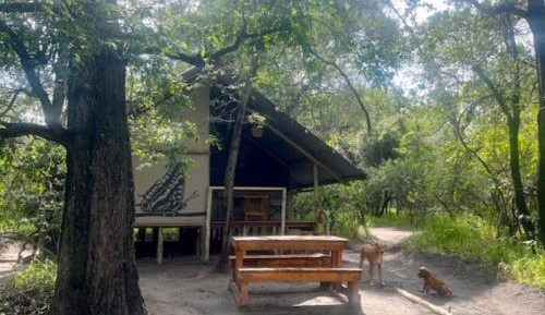 Superior Chalet
