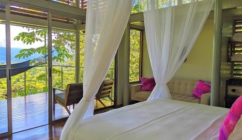 Canopy Suite